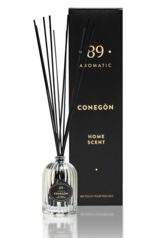 Home Fragrance with sticks Conegon 50 ml (Retro)